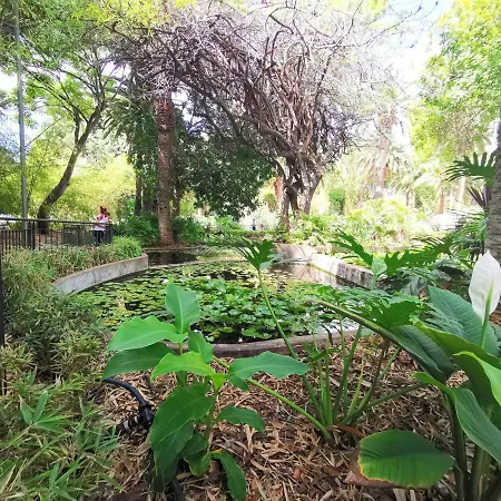 Home2book La Casita Del Mercado * 산타크루스데 테네리페