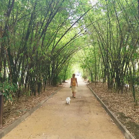 Home2book La Casita Del Mercado *