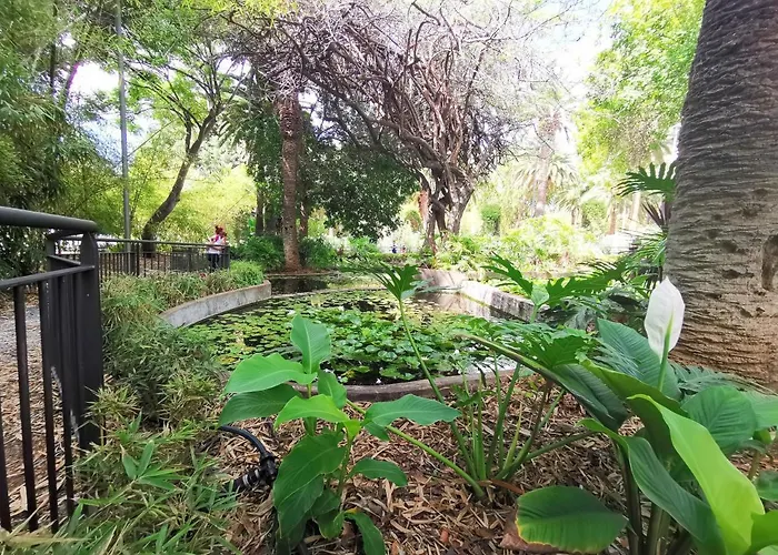 Home2book La Casita Del Mercado * Santa Cruz de Tenerife